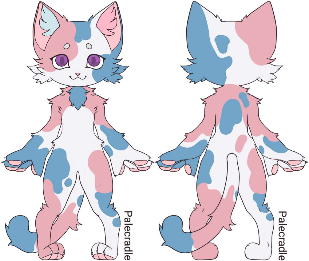 Calico Cat Character Design PNG