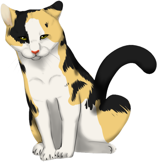 Calico Cat Illustration PNG