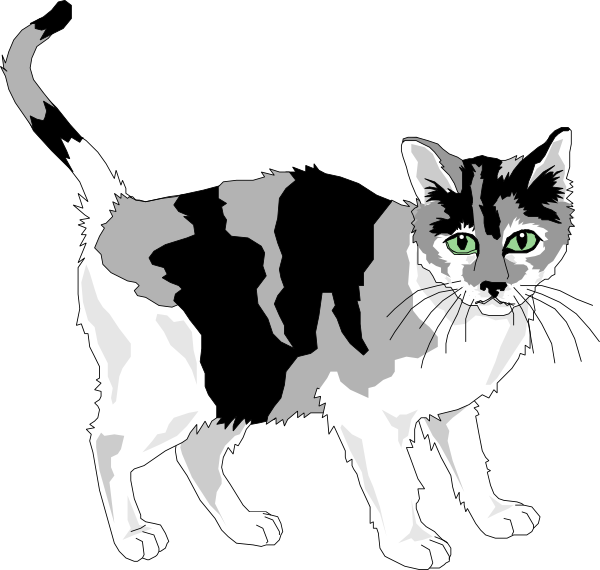 Calico Cat Illustration.png PNG