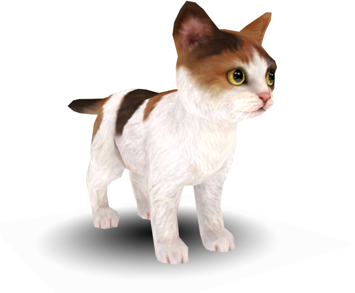 Calico Cat3 D Model PNG