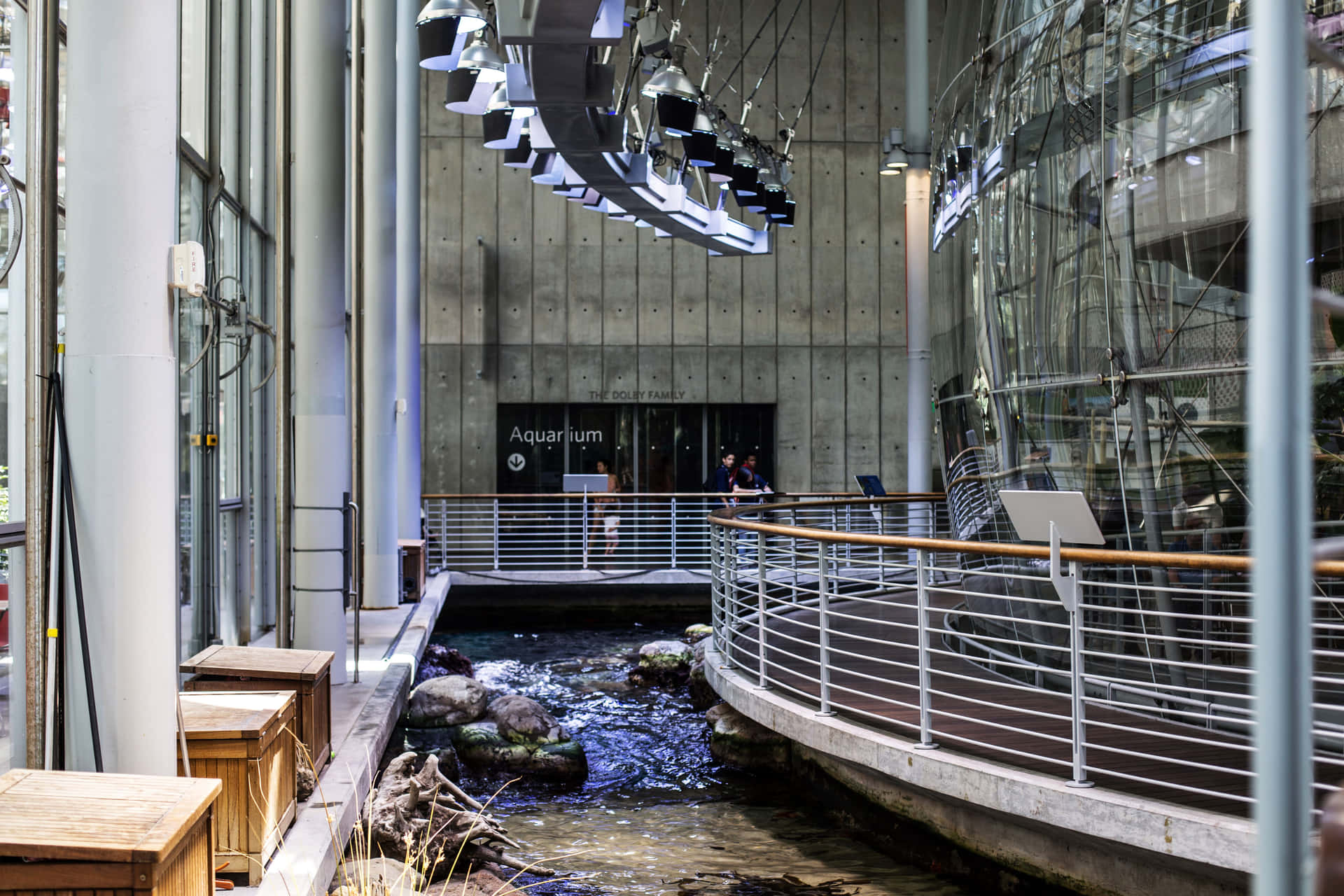 California Academyof Sciences Aquarium Entrance Wallpaper