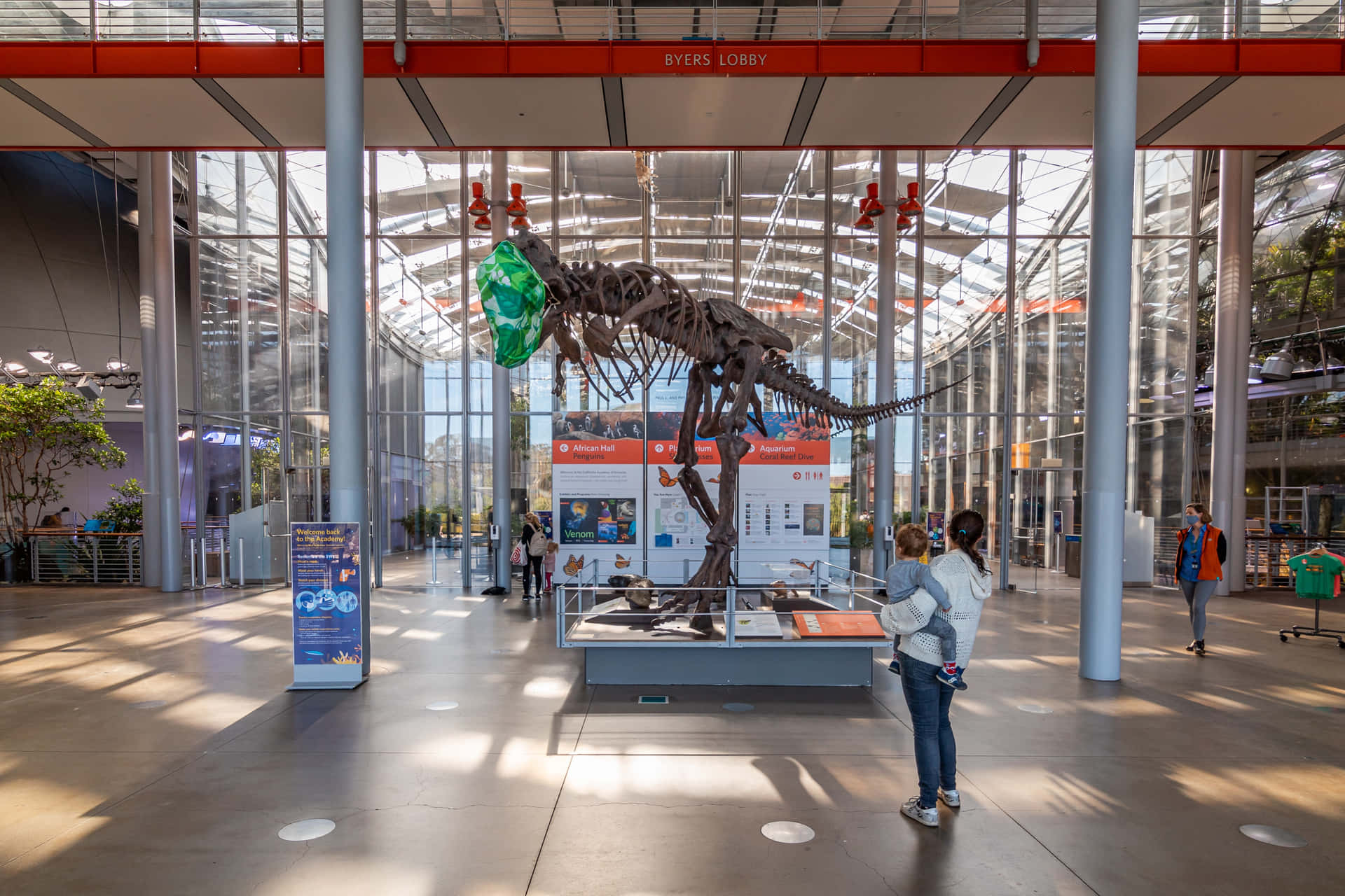 California Academyof Sciences Dinosaur Exhibit Wallpaper