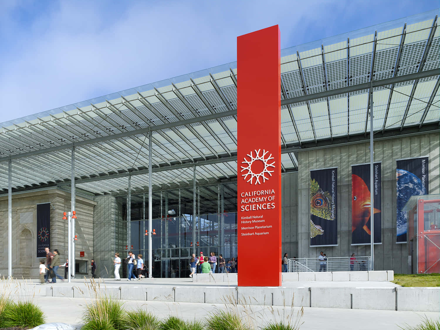 Extérieur De L'académie Des Sciences De Californie Fond d'écran