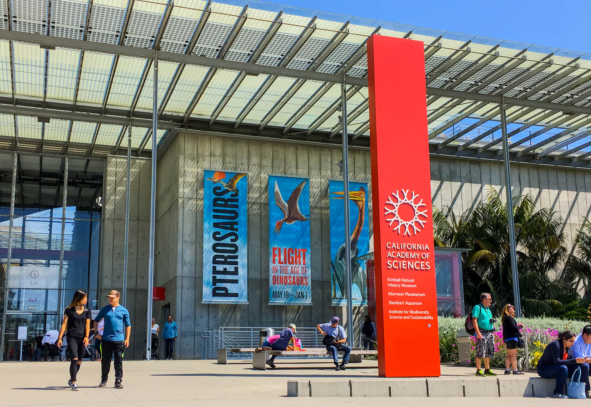 Extérieur De L'académie Des Sciences De Californie Fond d'écran