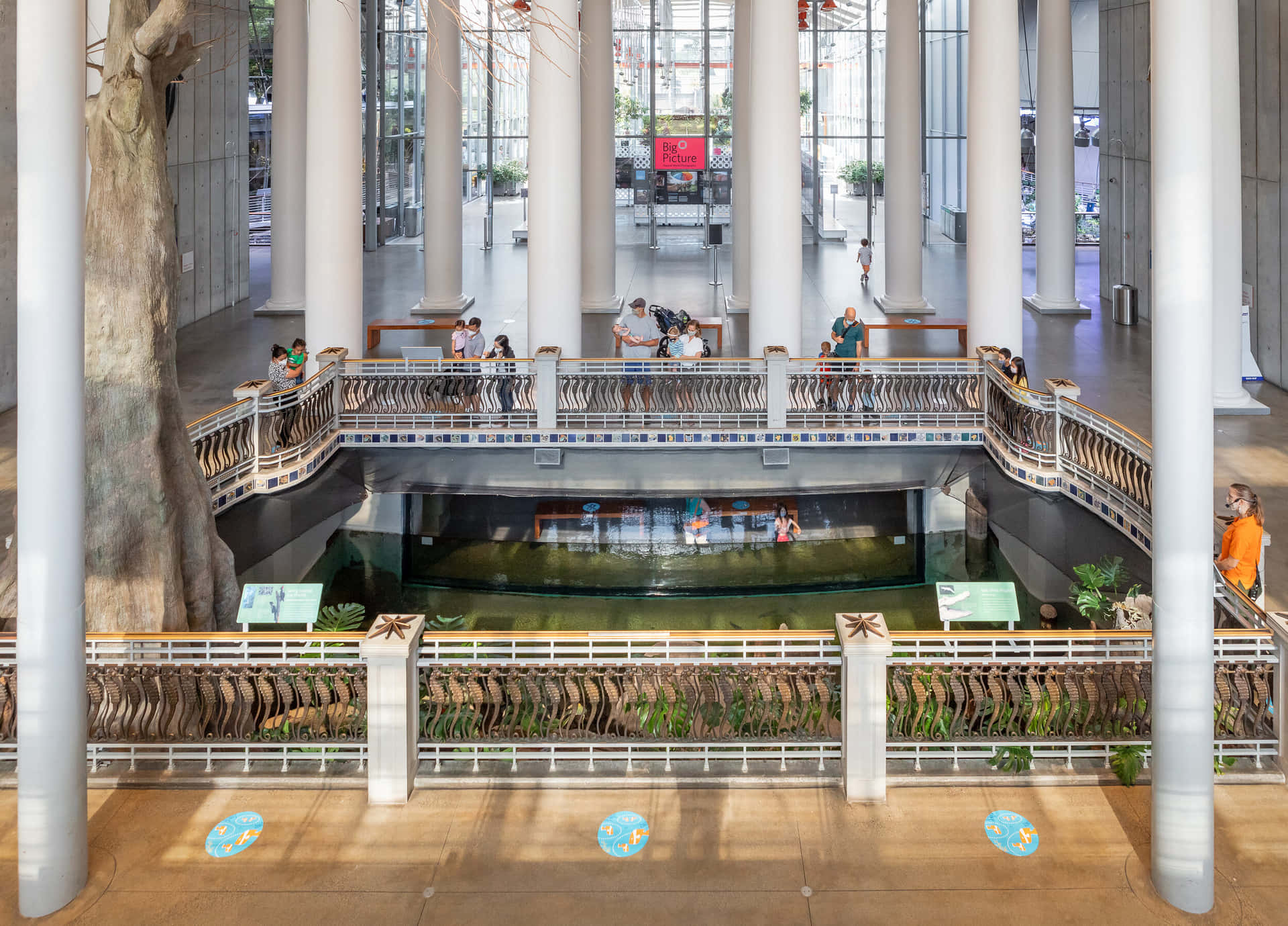 Intérieur De L'académie Des Sciences De Californie Fond d'écran