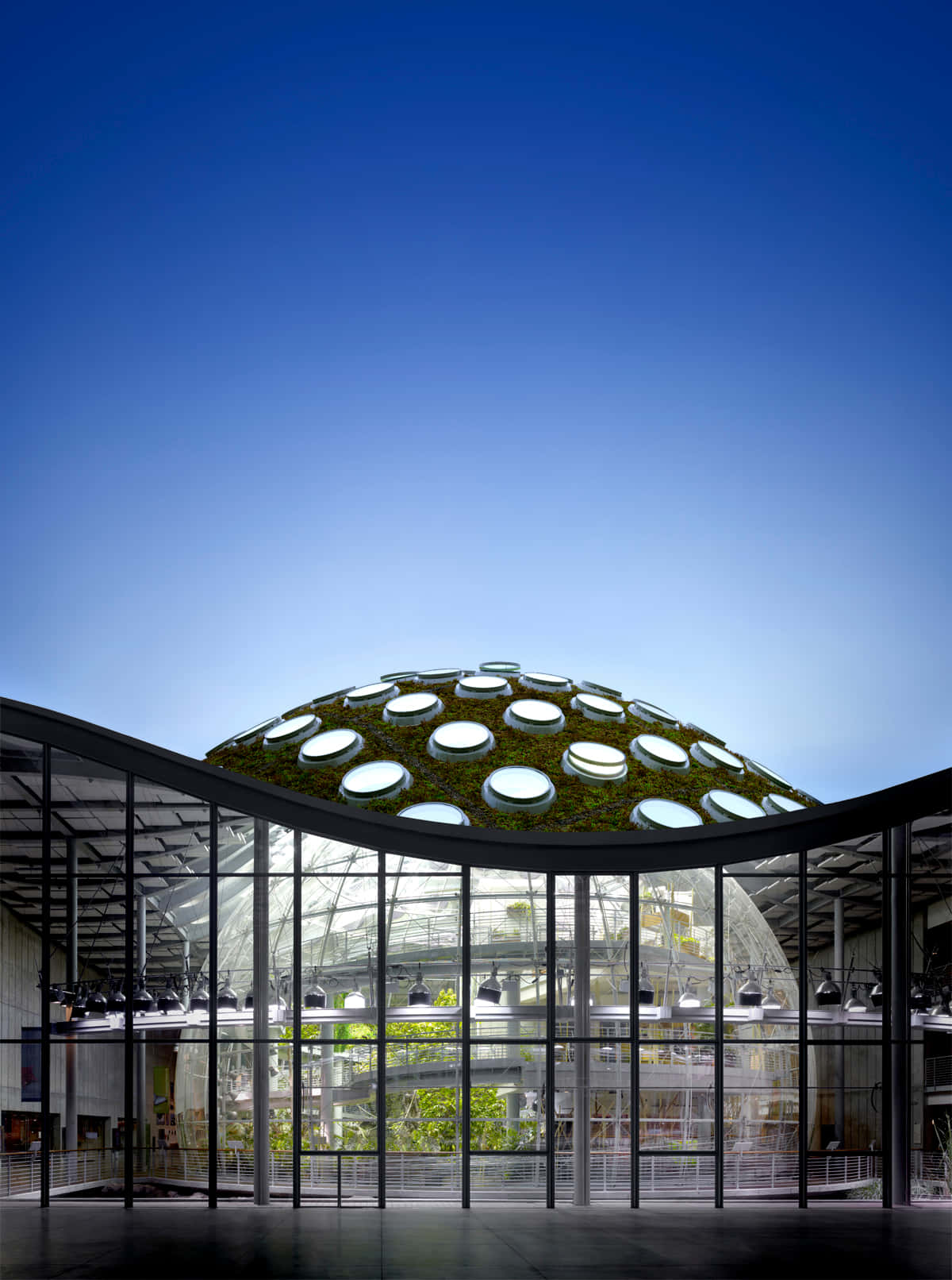 California Academyof Sciences Living Roof Wallpaper