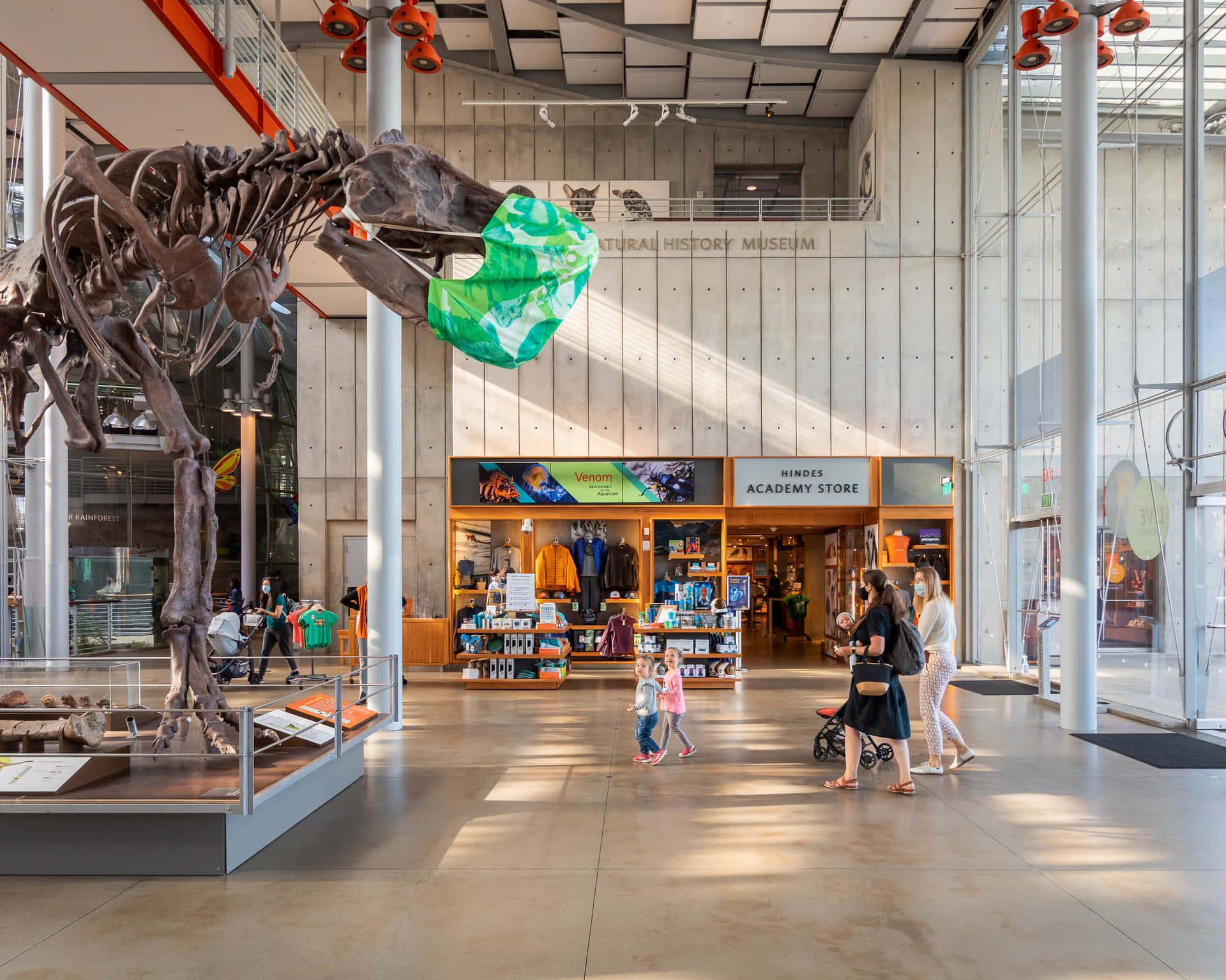 Download California Academyof Sciences Lobbywith Dinosaur Skeleton ...