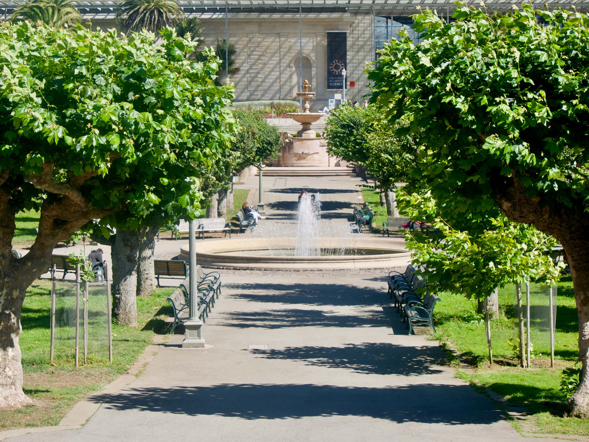 California Academyof Sciences Pathway Fountain Wallpaper