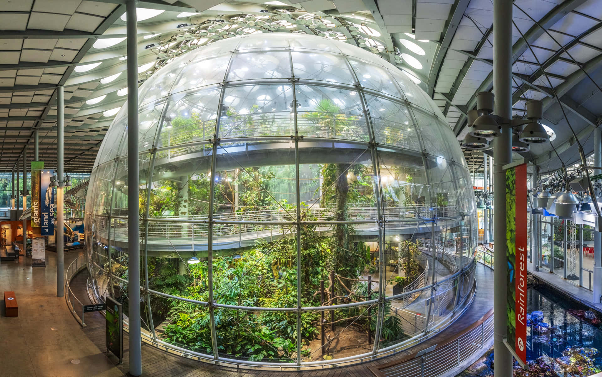 Coupole De La Forêt Tropicale De L'académie Des Sciences De Californie Fond d'écran