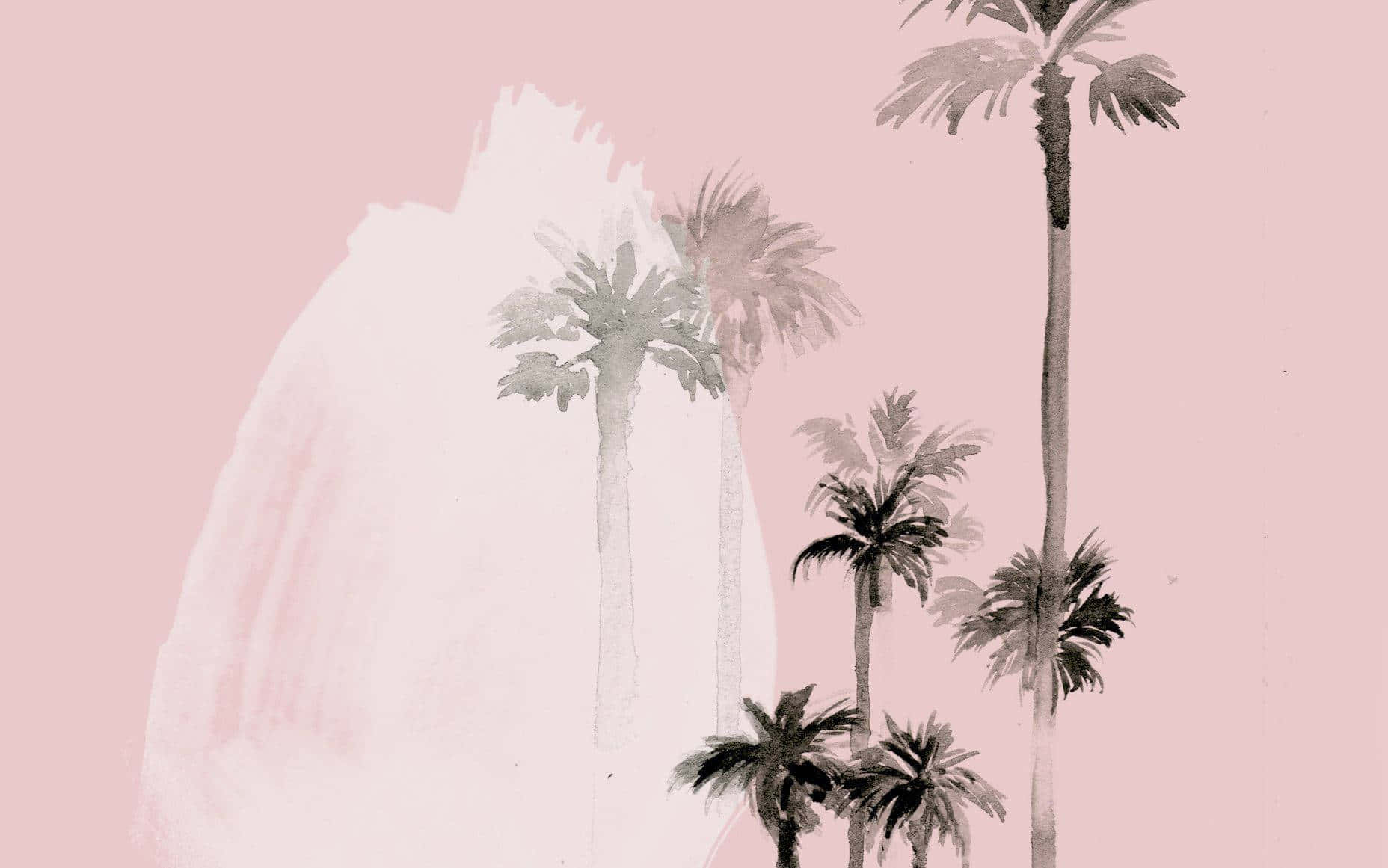 Palme træer på en pink baggrund Wallpaper