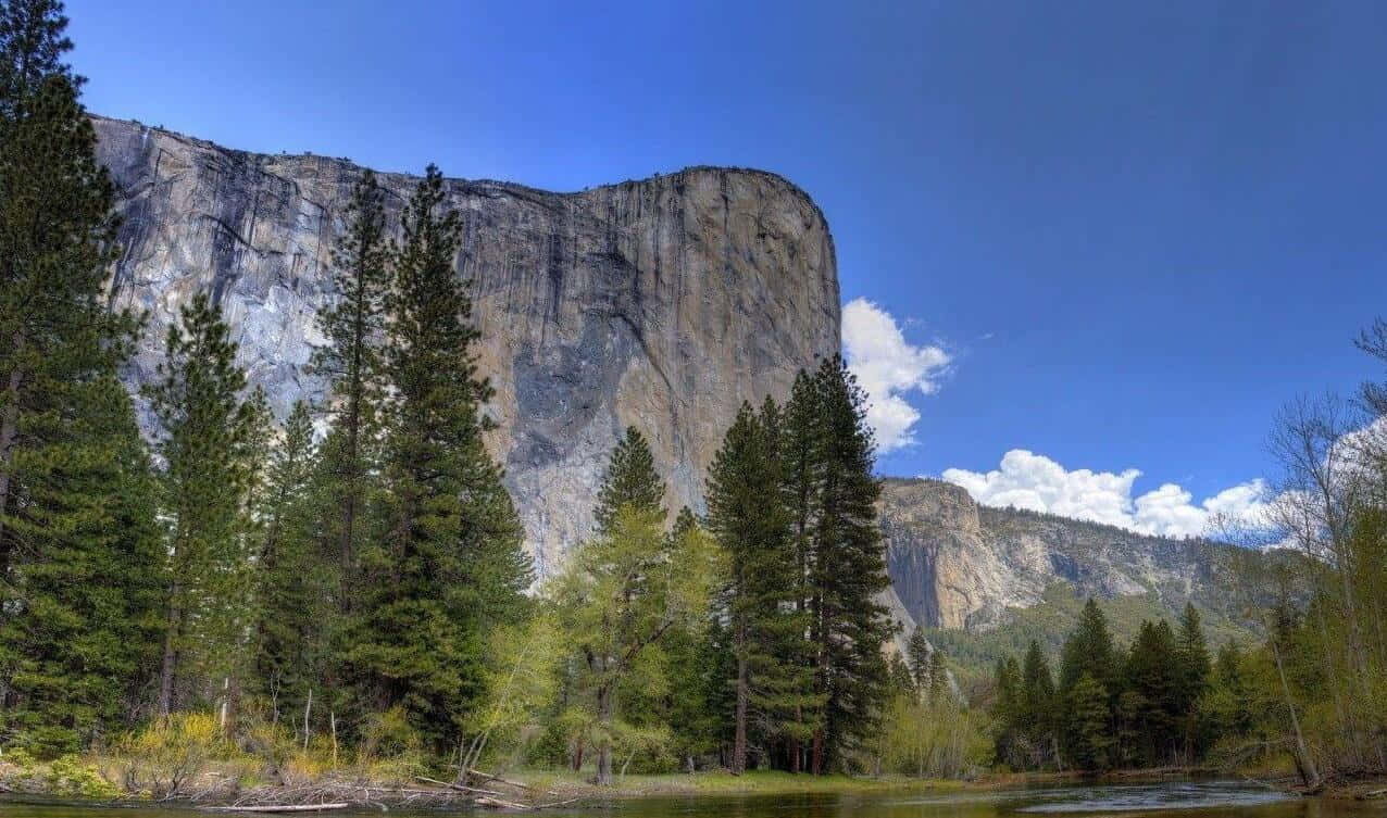 Enflod Løber Ved Siden Af Et Bjerg I Yosemite.