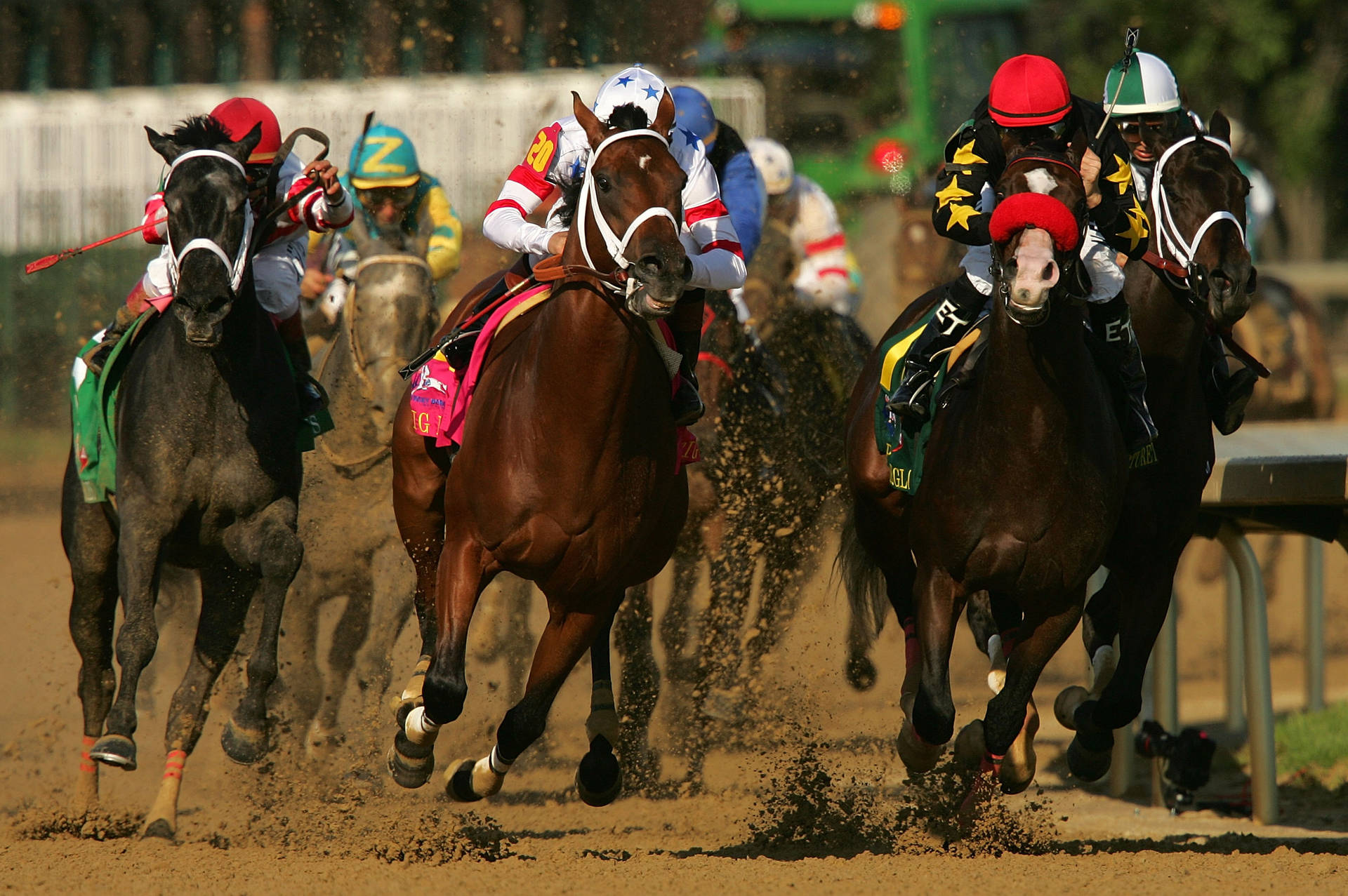 California Chrome crosses the finish line to become the 12th Triple Crown winner Wallpaper