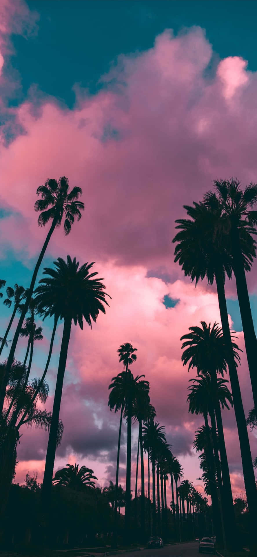 Enjoy life in California with an iPhone Wallpaper
