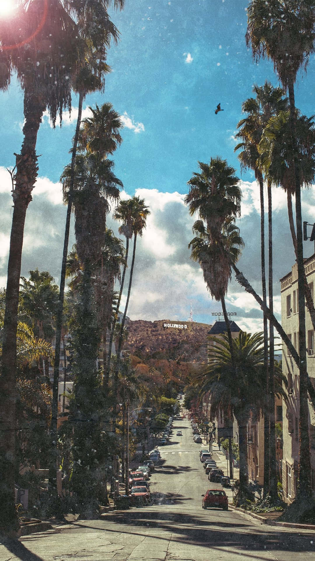 Enjoy the sunshine with a California iPhone Wallpaper