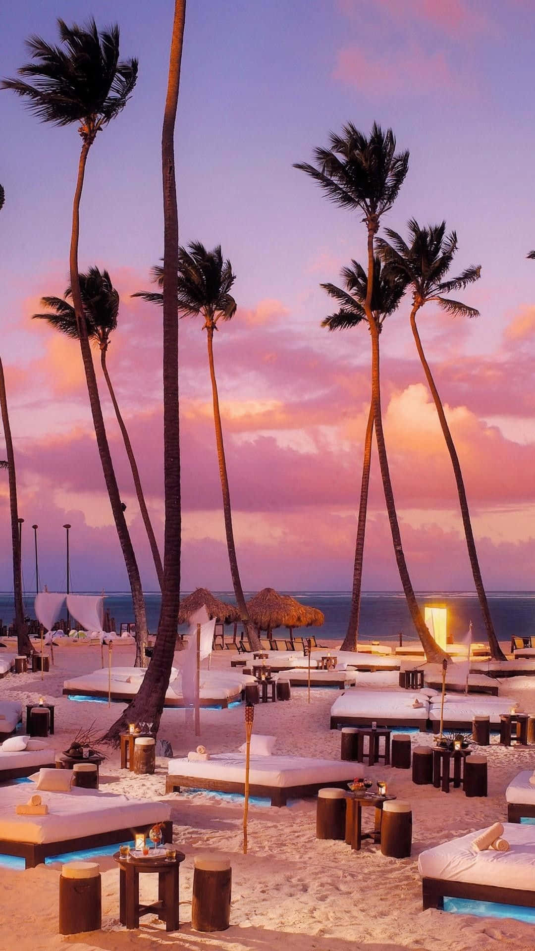 En strand med palmer og liggestole Wallpaper