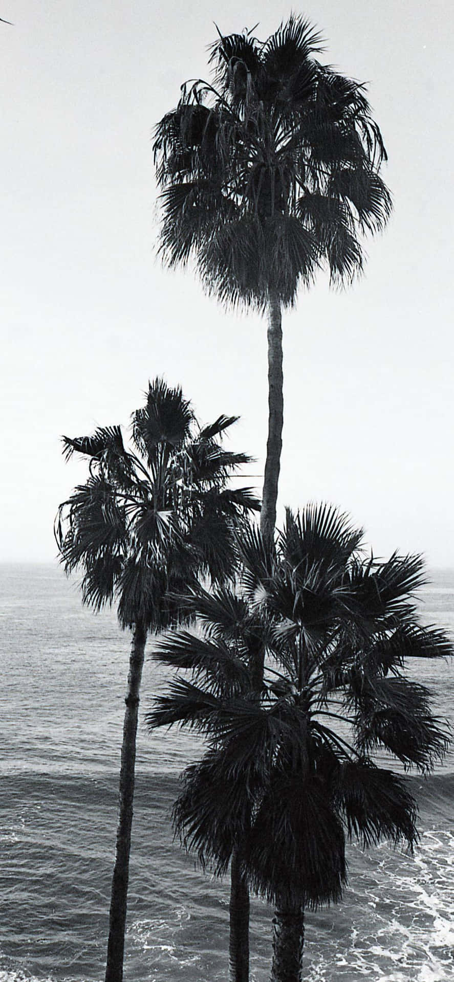 Dyk ned i den smukke Californiens kystlinje med din iPhone baggrund. Wallpaper
