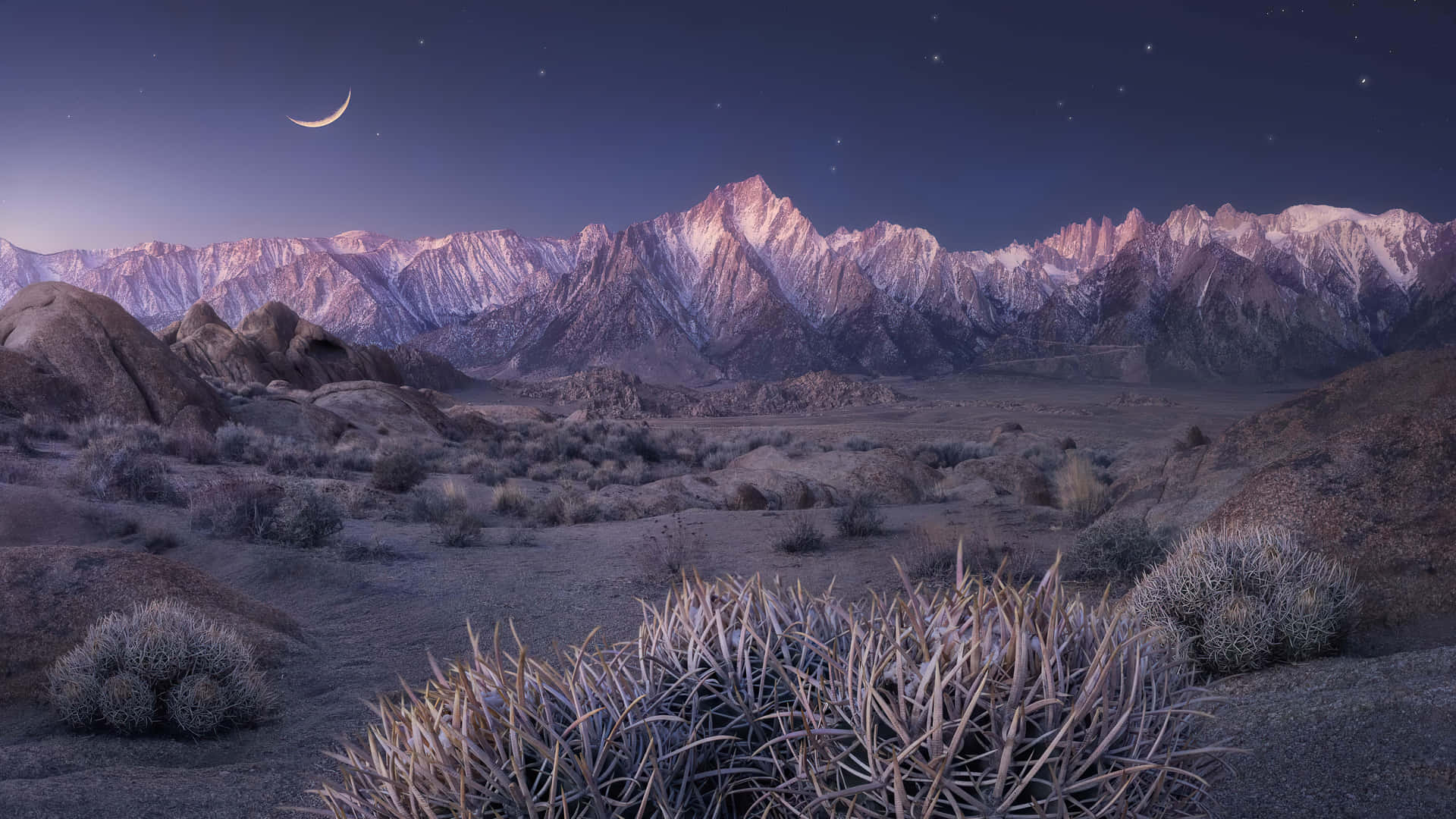 A Desert Landscape With Cactus And Mountains At Night Wallpaper