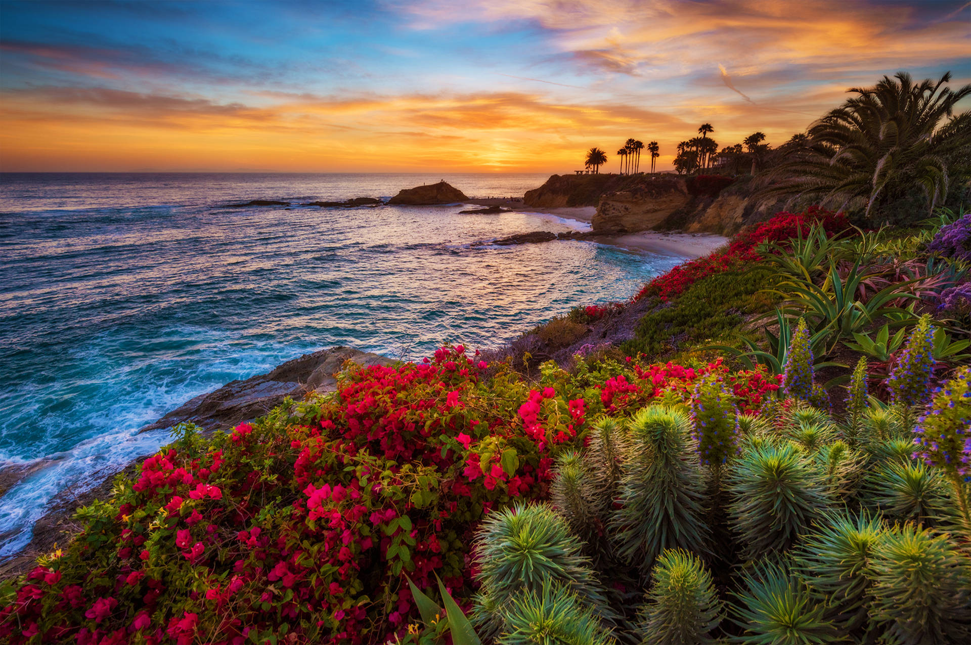 California Ocean View