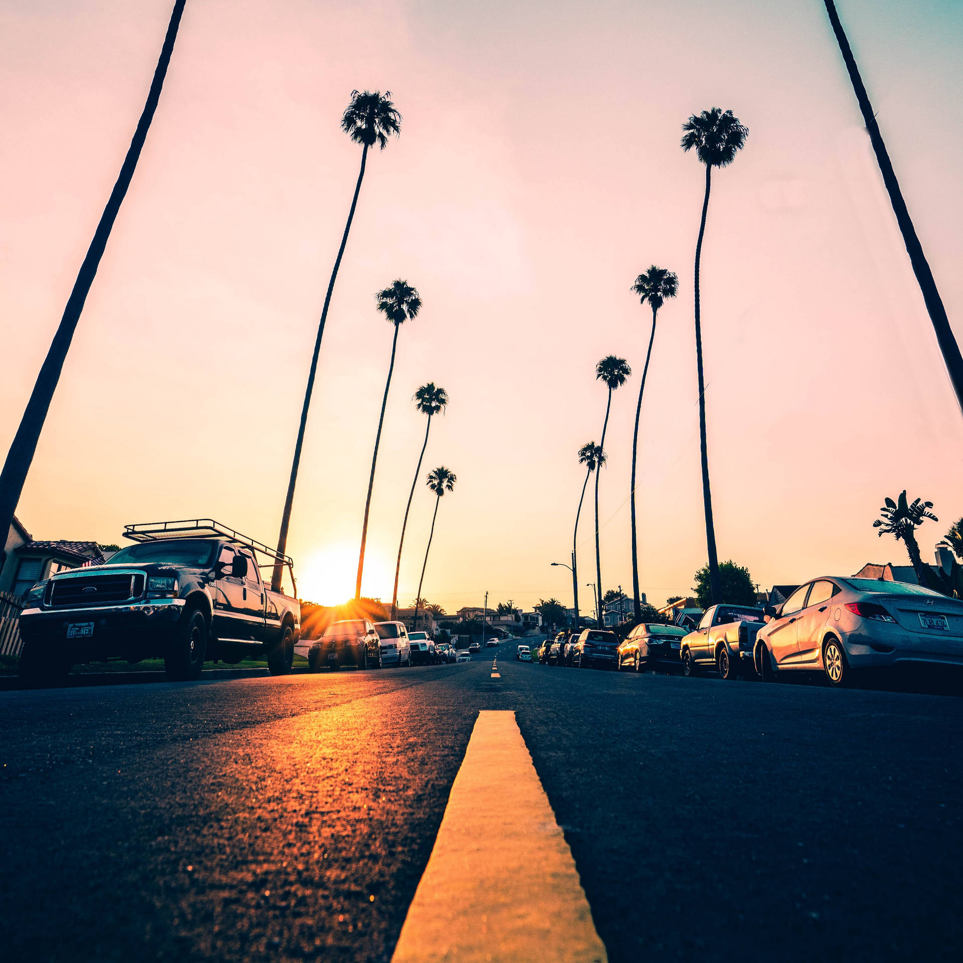 California Road With Palm Trees Wallpaper