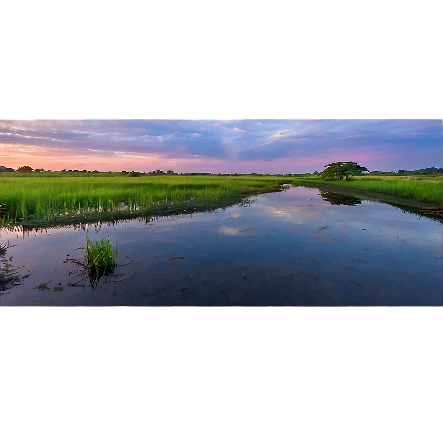 Calm Marshland At Twilight Landscape Png Jvp PNG