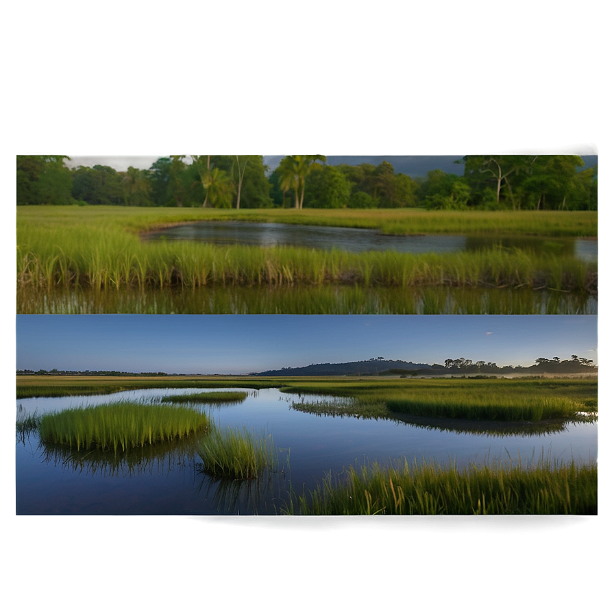 Calm Marshland At Twilight Landscape Png Yhg PNG