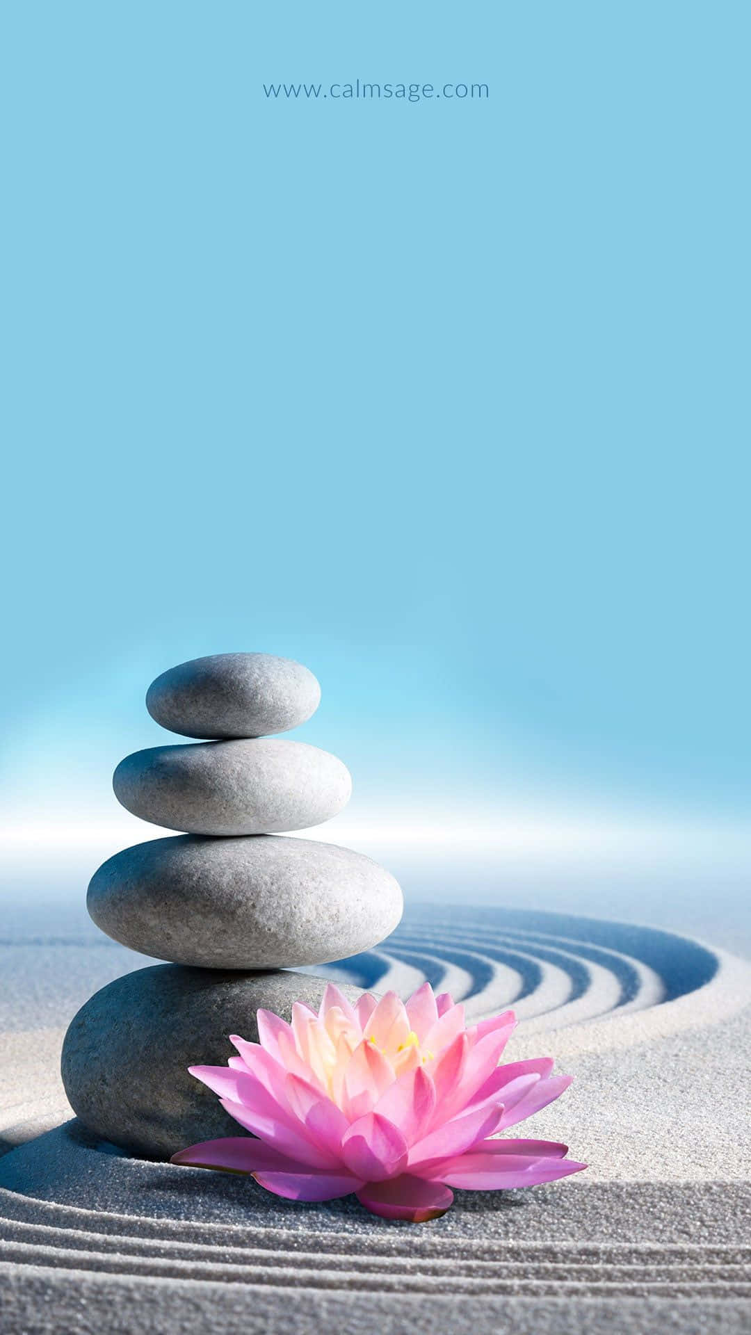 A Pink Lotus Flower On A Stack Of Stones Wallpaper