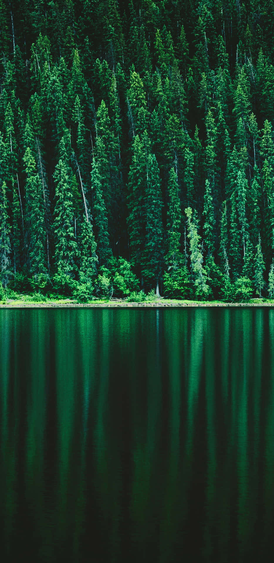 A Lake With Trees Reflected In It Wallpaper