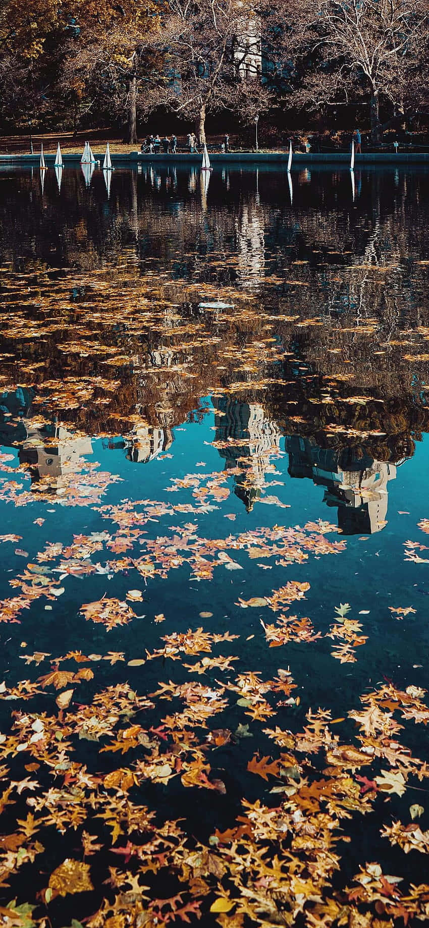 Folhasde Outono Refletidas Em Um Lago Papel de Parede