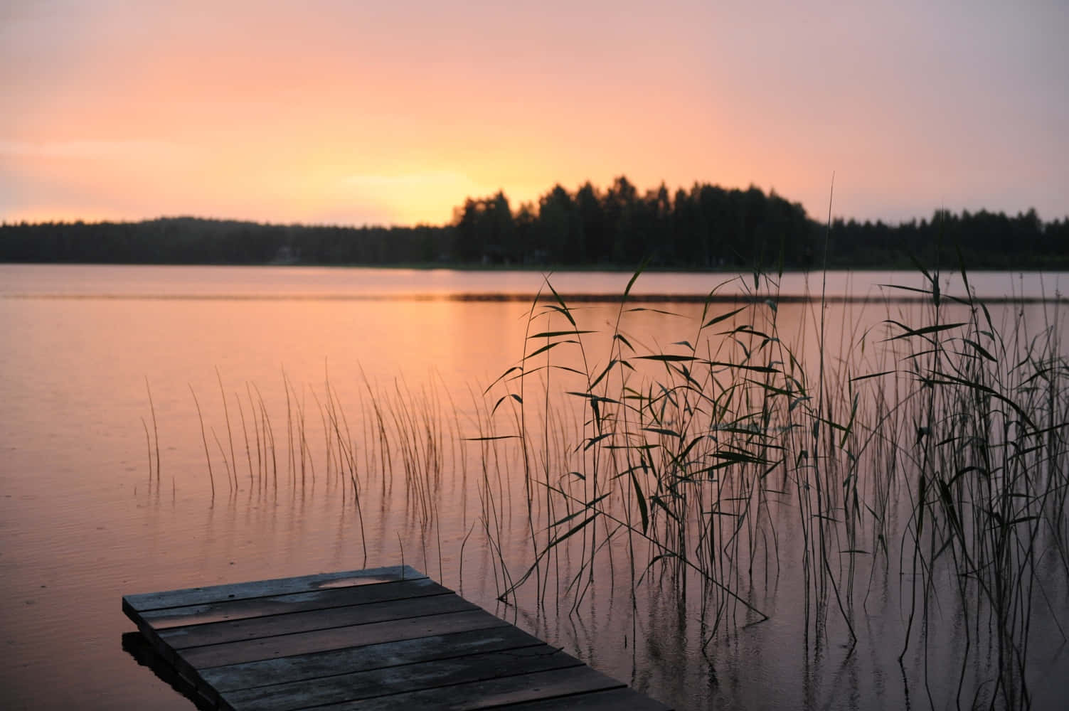 Eineanlegestelle Auf Einem See Bei Sonnenuntergang