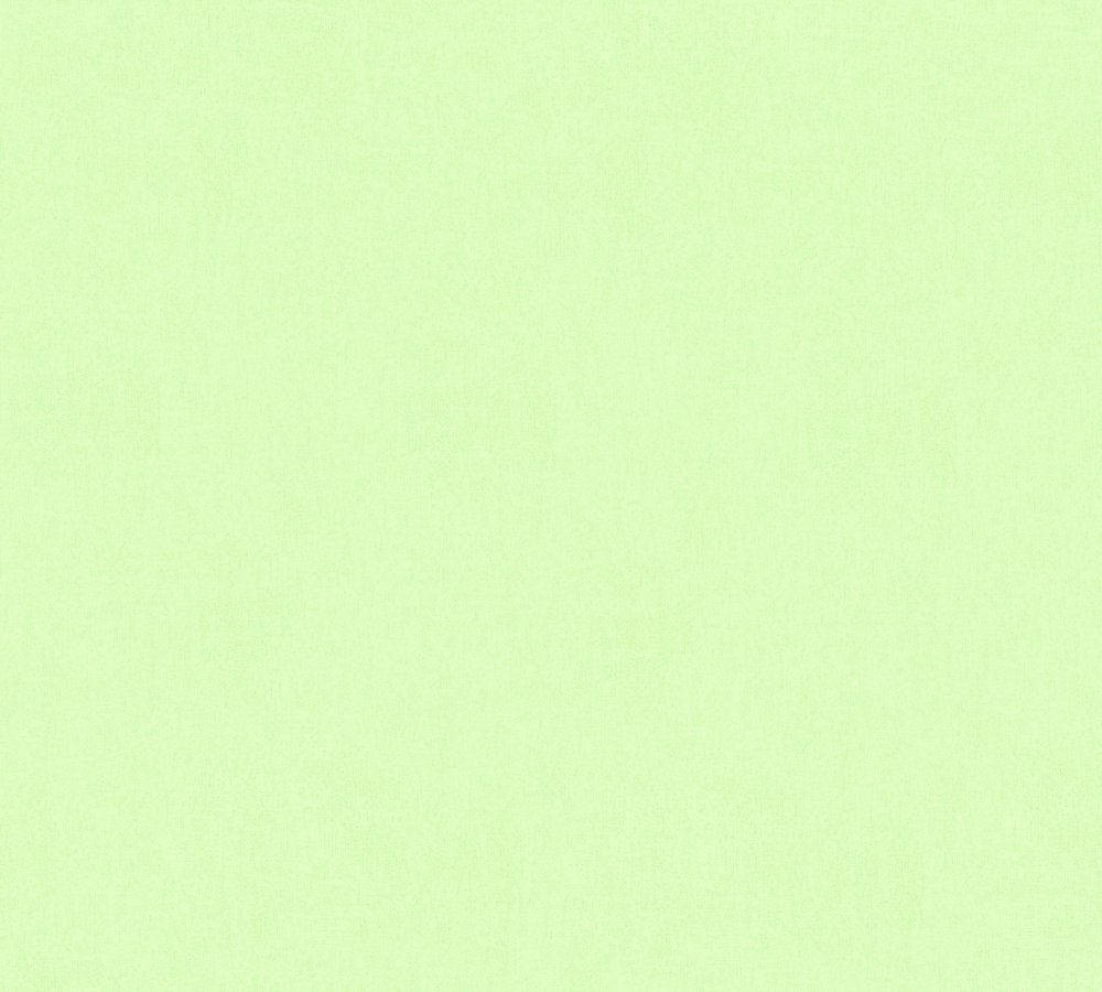 Beruhigendeseinfaches Hellgrünes Design Wallpaper