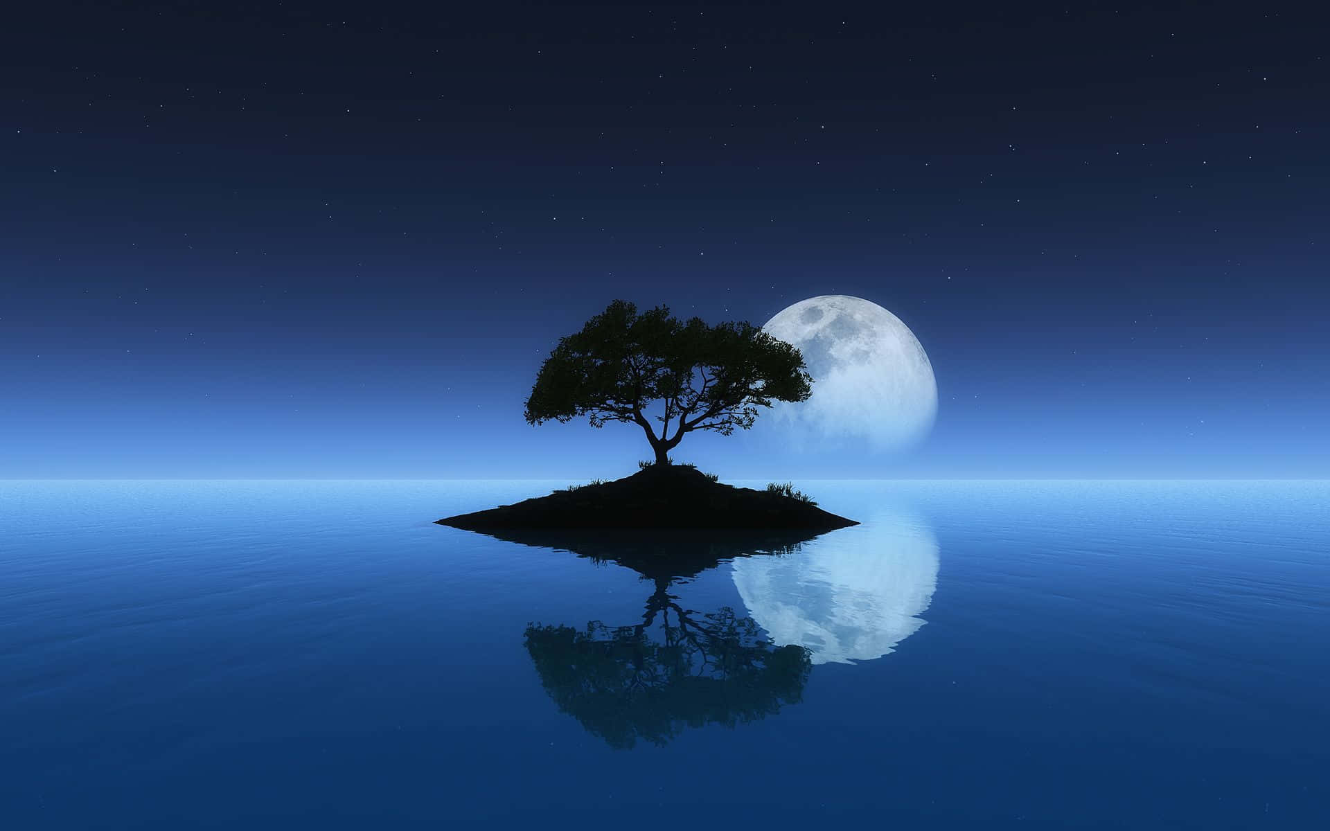 Calming Moon Picture