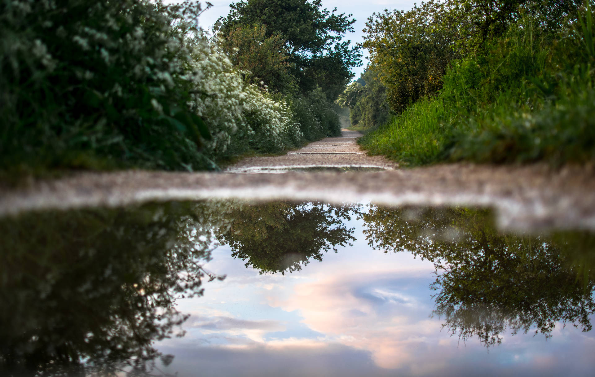 Calming Reflection In A Puddle Wallpaper