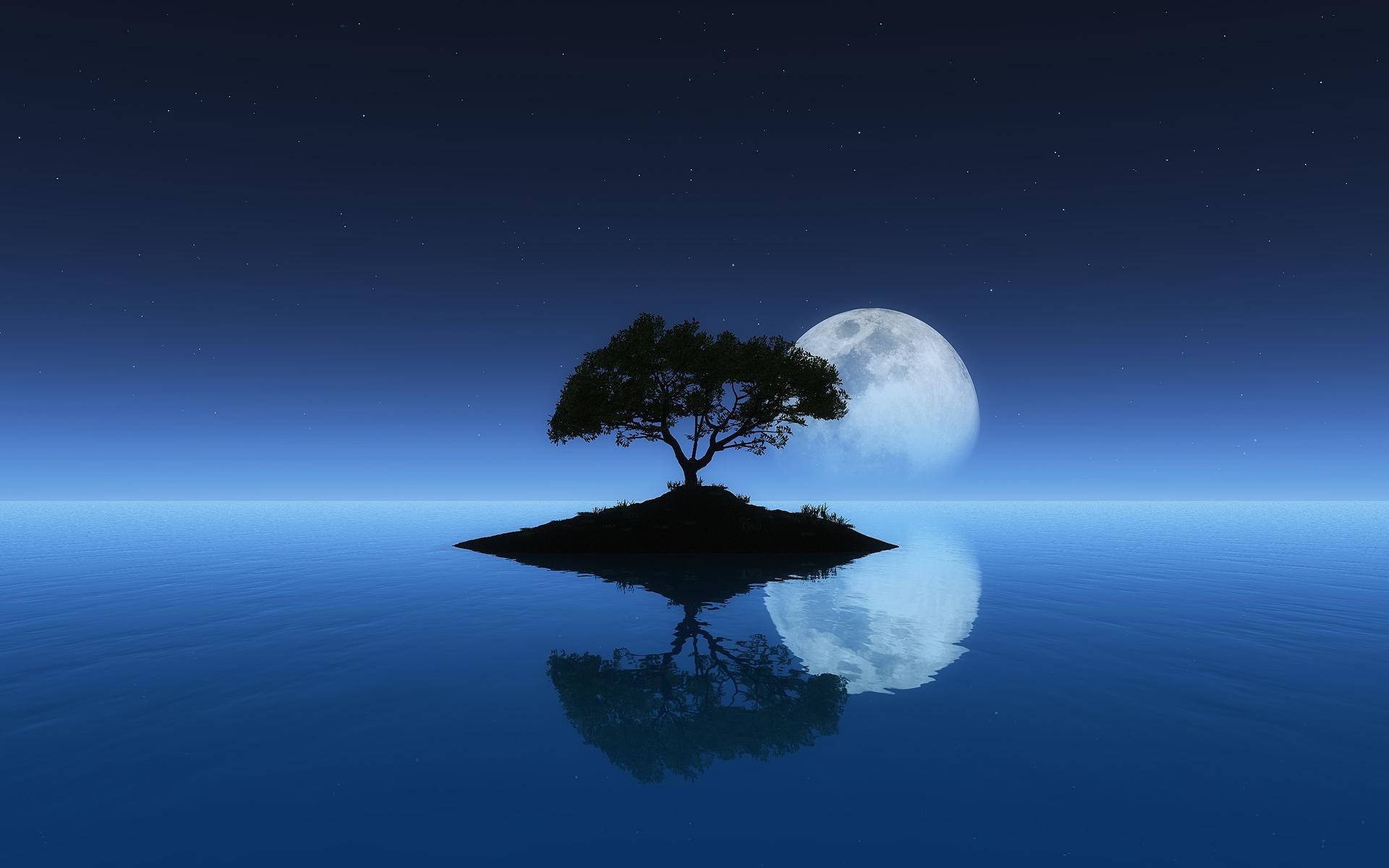 Calming Reflection Of The Full Moon Wallpaper