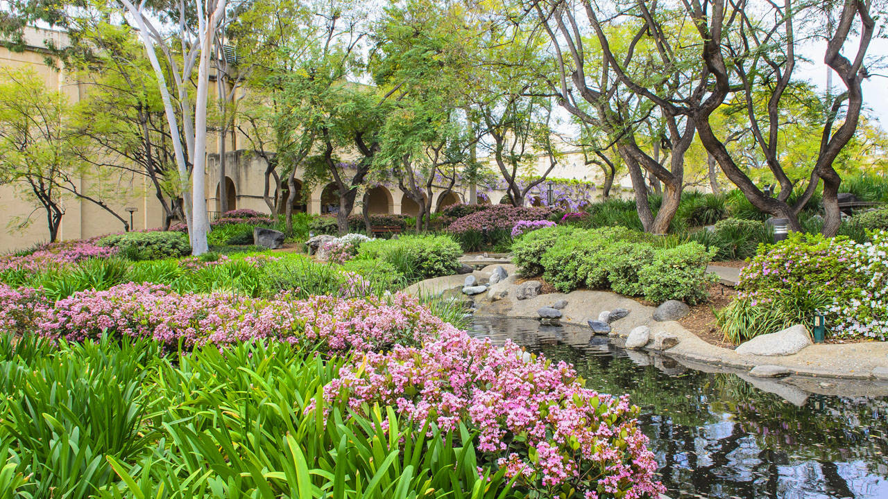 Caltech Garden And Pond Wallpaper