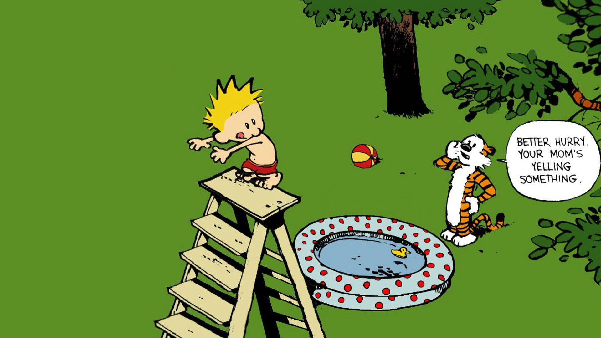 Calvin And Hobbes Diving Lesson Wallpaper