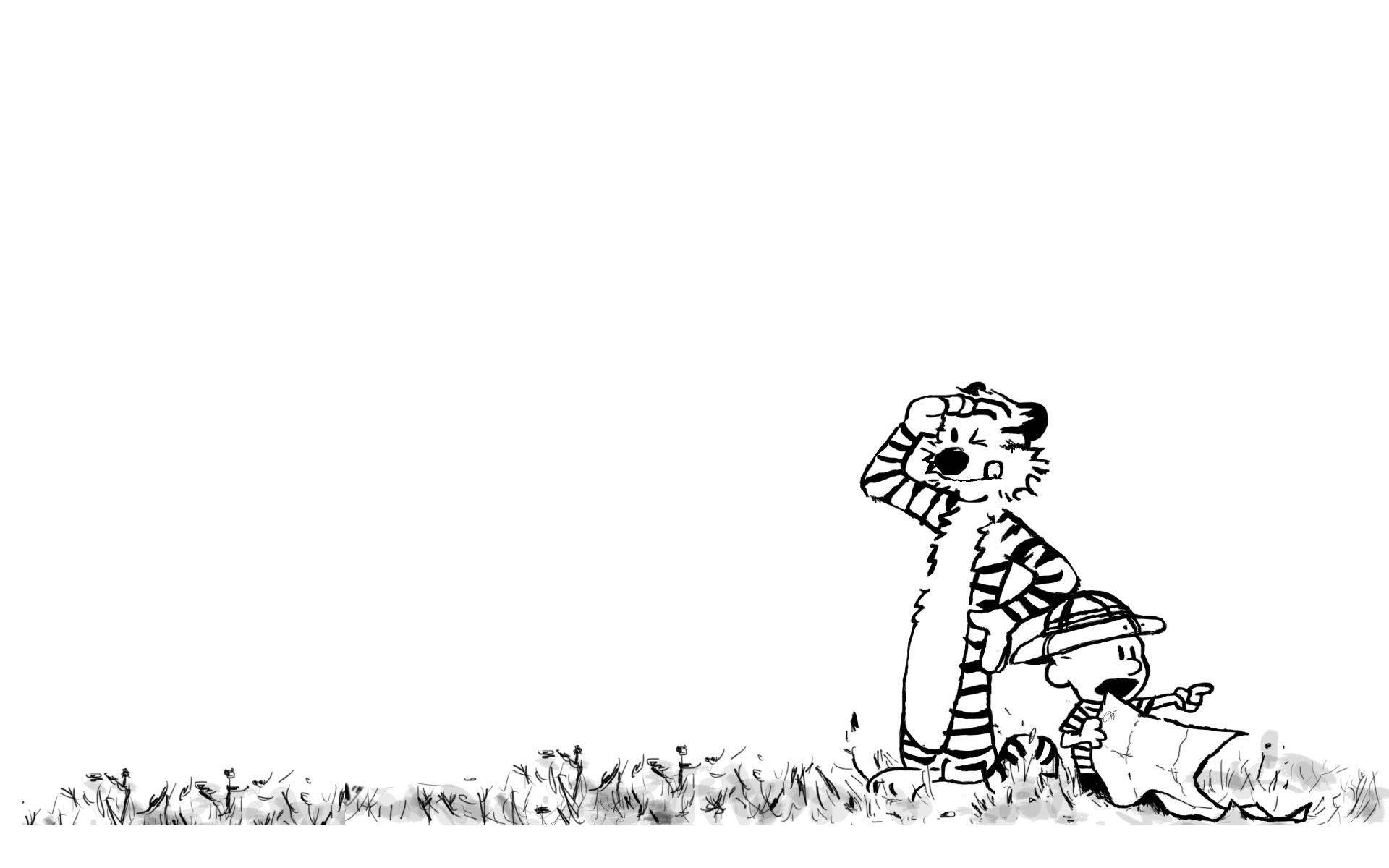 41 Calvin And Hobbes Wallpapers