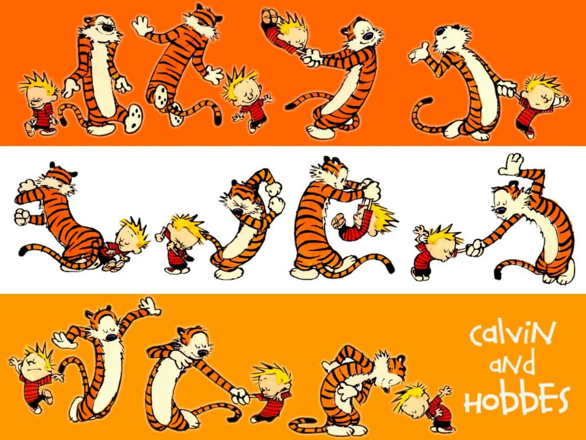 Calvinund Hobbes Musterbild