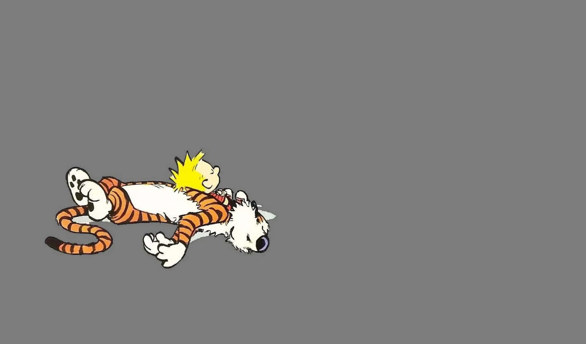 Sleeping Calvin And Hobbes Picture