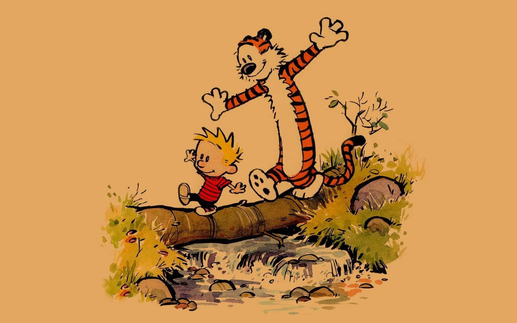 Aesthetic Calvin And Hobbes Picture