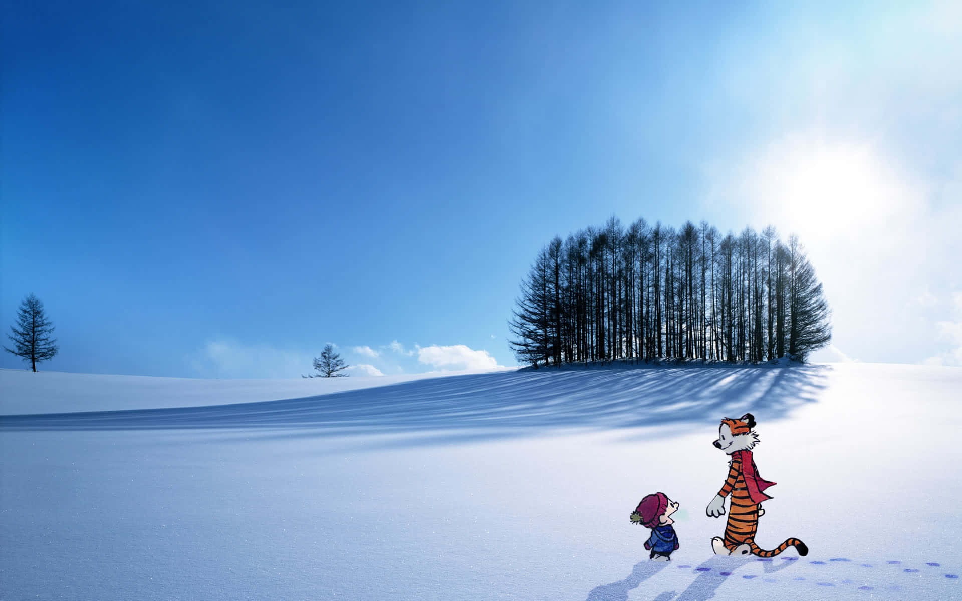 Wintercalvin Und Hobbes Bild