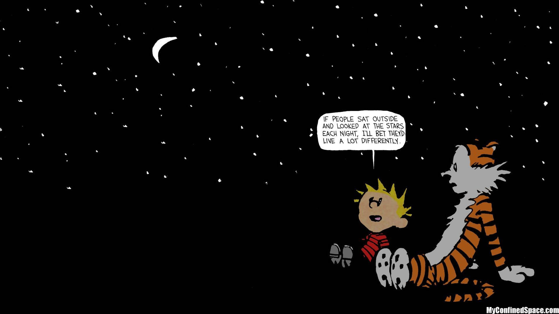 Calvin and Hobbes under a starry night Wallpaper