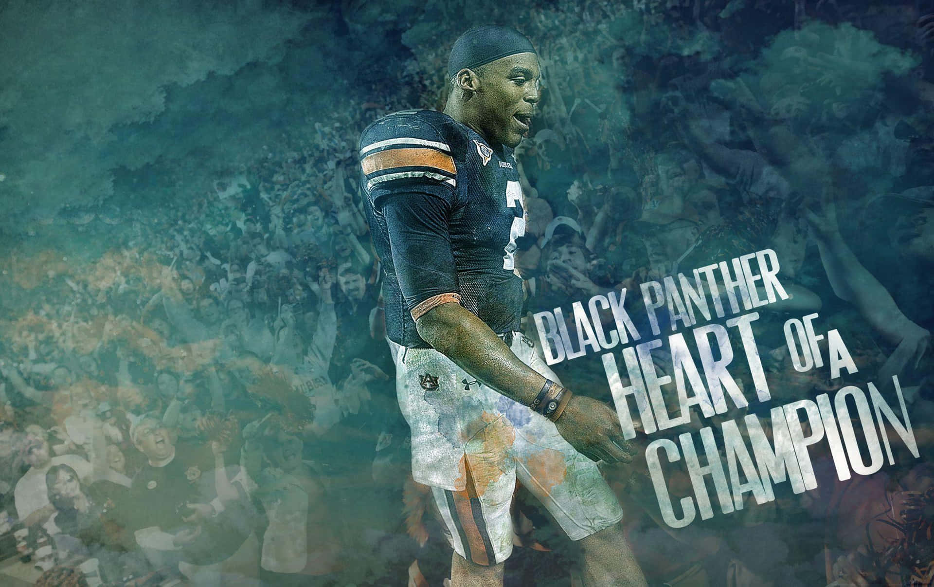 Cam Newton leder Carolina Panthers Wallpaper