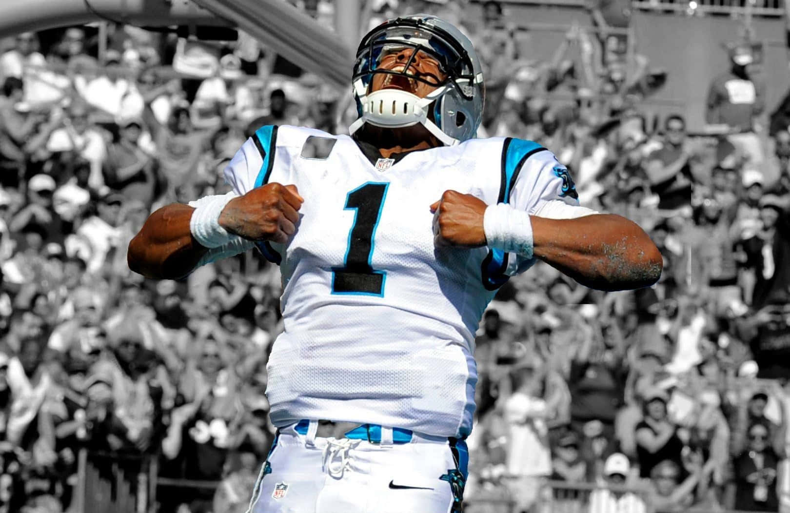 Carolina Panthers Quarterback Cam Newton fejrer et touchdown Wallpaper