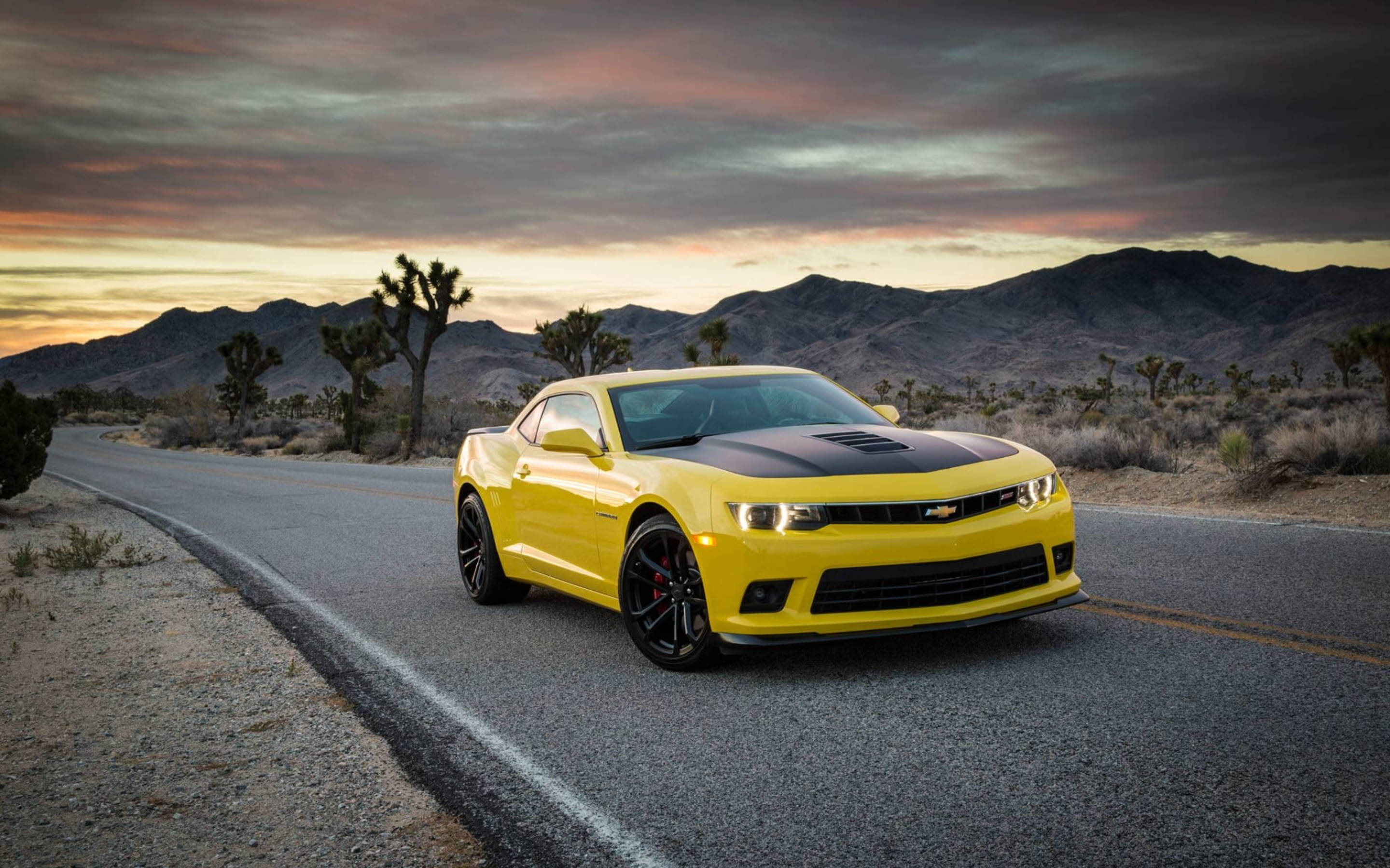 Camaro Muscle Cars Feature Photo Wallpaper
