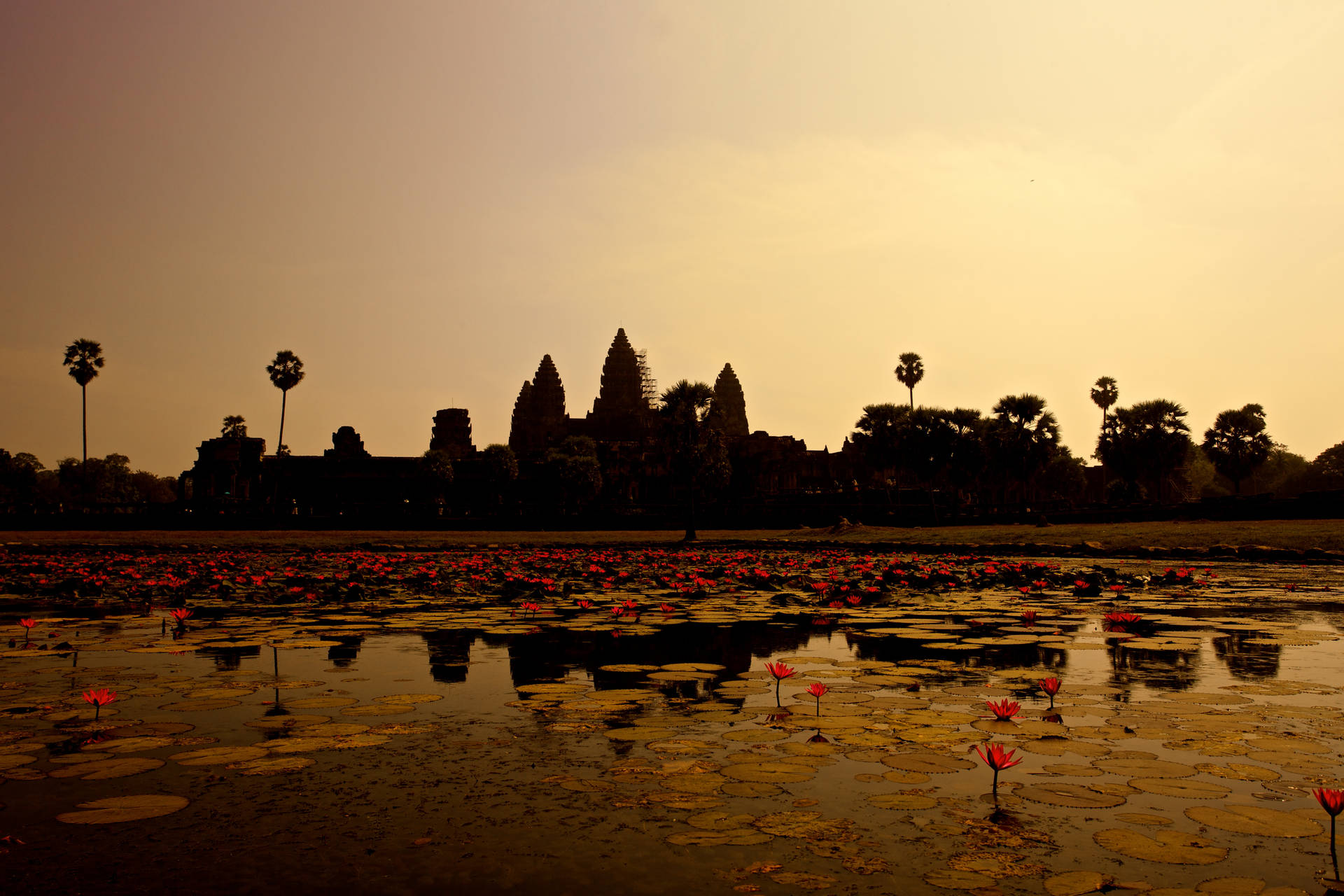 Cambogia Angkor Wat Sfondo