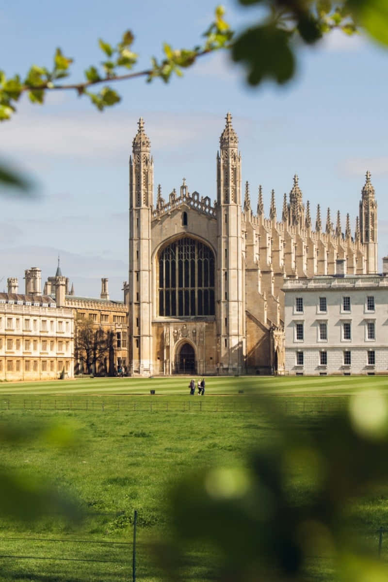 Universitàdi Cambridge Con Foglie In Primo Piano Sfondo
