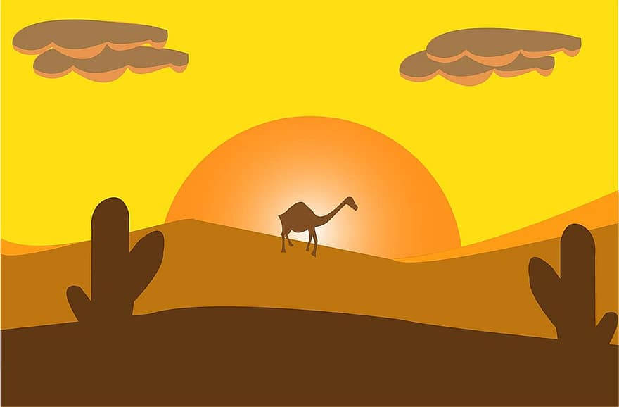 Camel Art Desert Sun Wallpaper