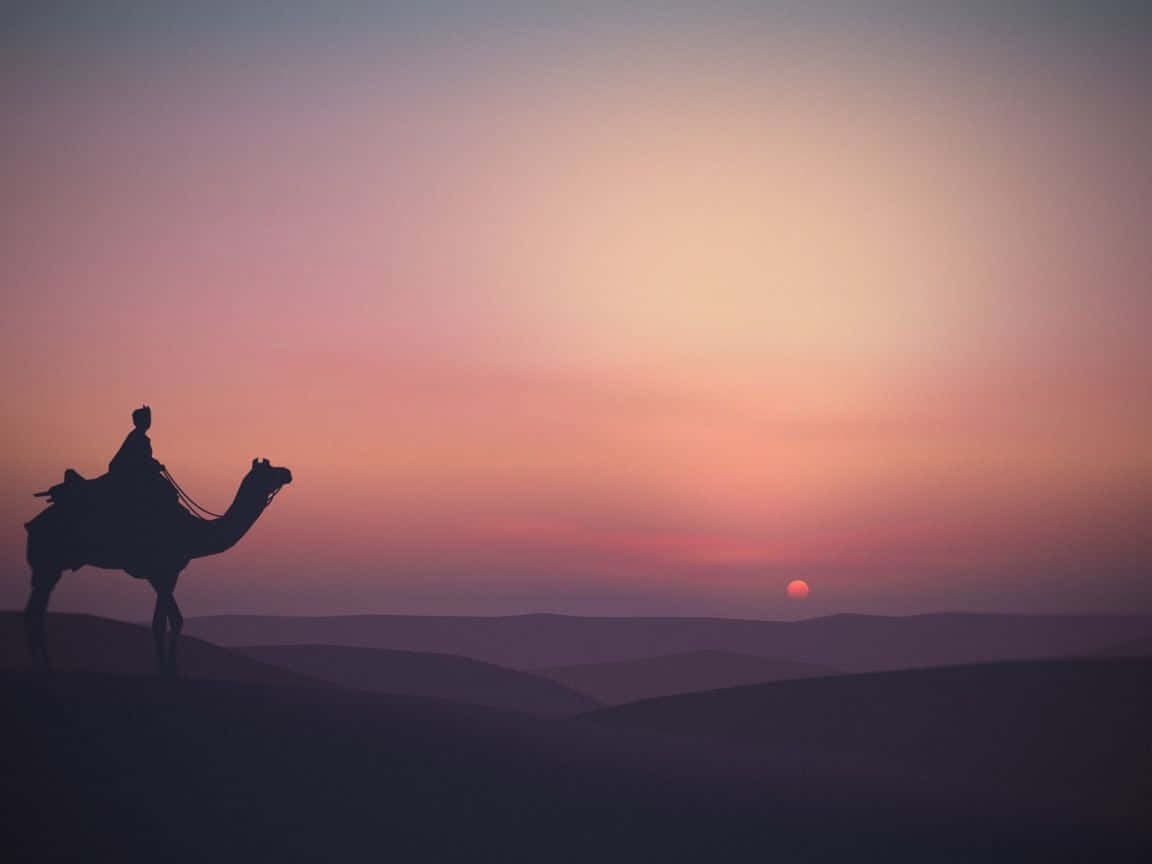 A Man Riding A Camel In The Desert At Sunset
