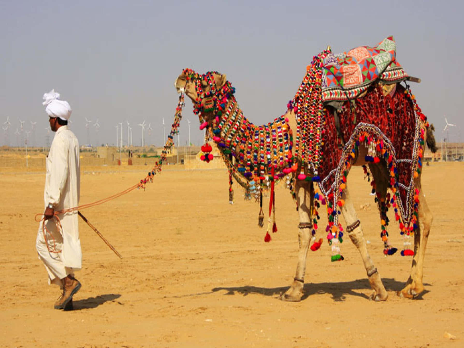 A Man Walking A Camel In The Desert