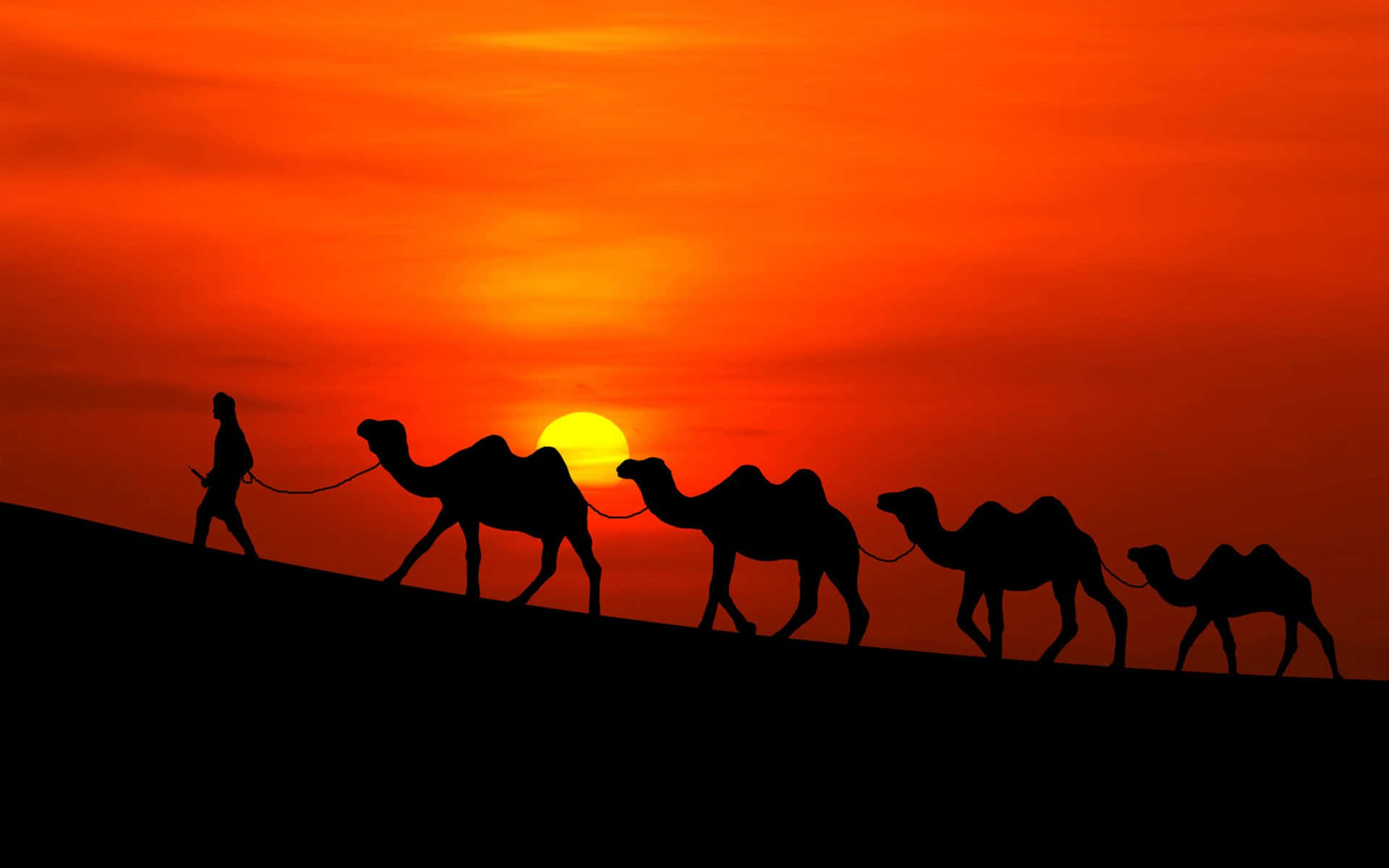 Billedeaf En Kamel, Der Vandrer Gennem Et Tørt Landskab.